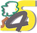 logo-4s
